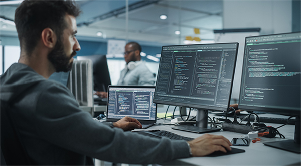 Software Developer