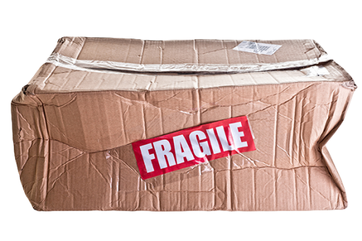 Packaging Testing Services