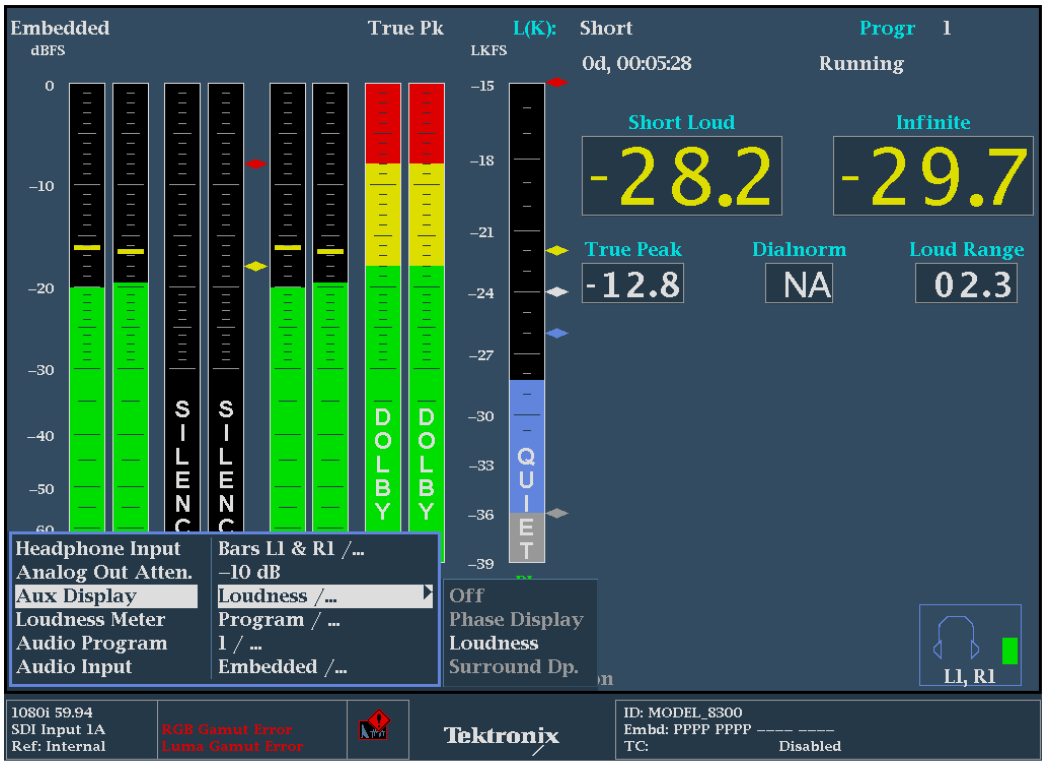 Loudness Readouts within Audio Display