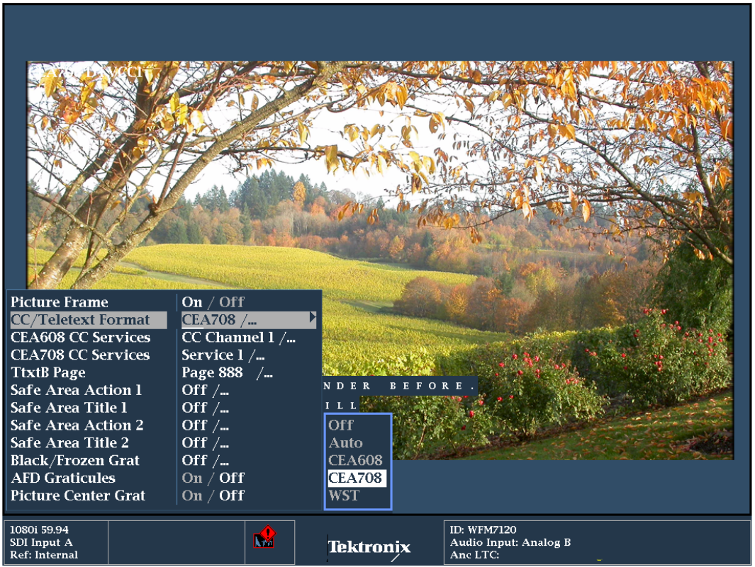 Picture Display showing menu for Closed Caption decoding