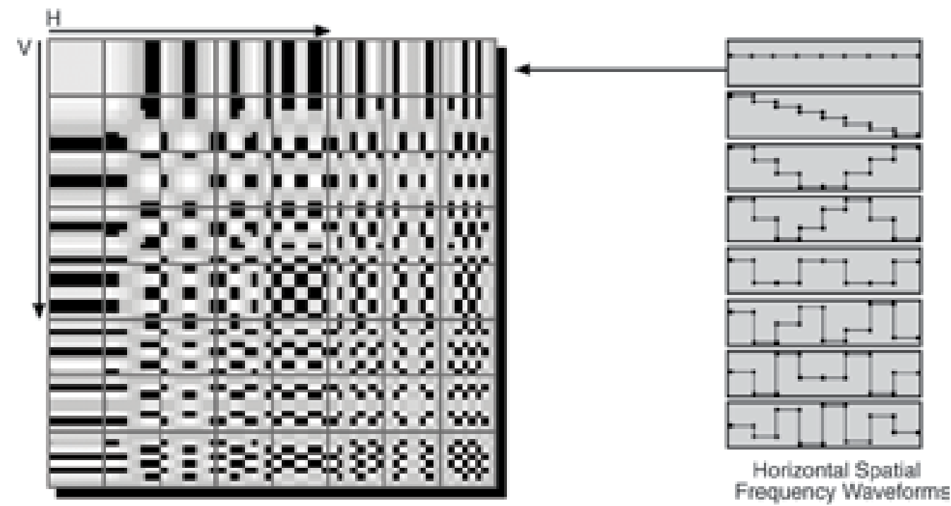 64 unique coefficients of a DCT