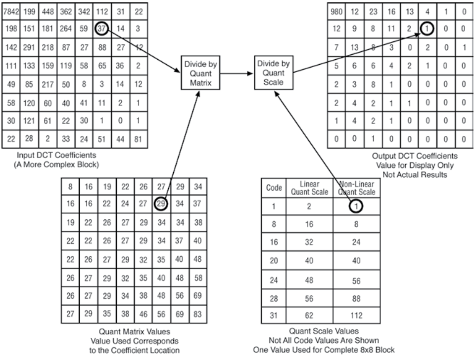 DCT coefficients are weighted by Quant Matrix and Quant Scale