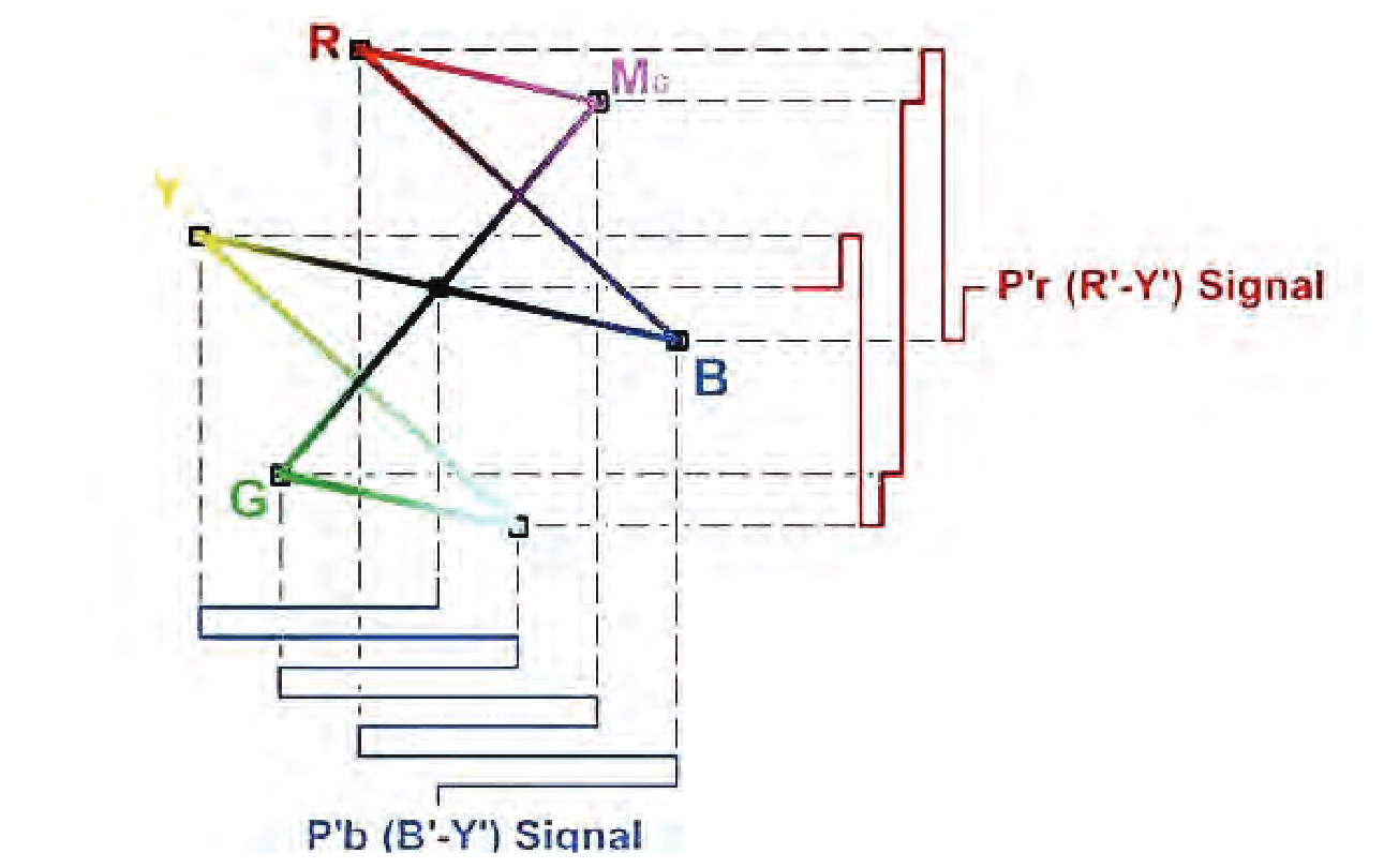 Vector Display