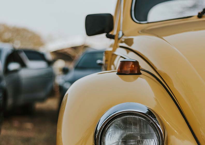pats_story_yellow_beetle pats_story_yellow_beetle