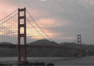 A000_5727-N.jpg A000_5727-N
