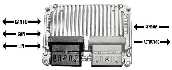 Image of automotive ECU with CAN bus and LIN bus interfaces